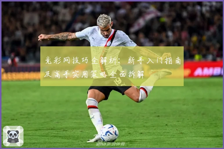 竞彩网技巧全解析：新手入门指南及高手实用策略全面拆解
