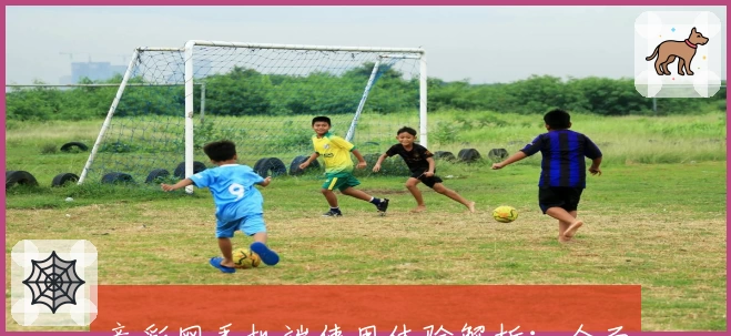 竞彩网手机端使用体验解析:全面解锁功能亮点与高效操作指南