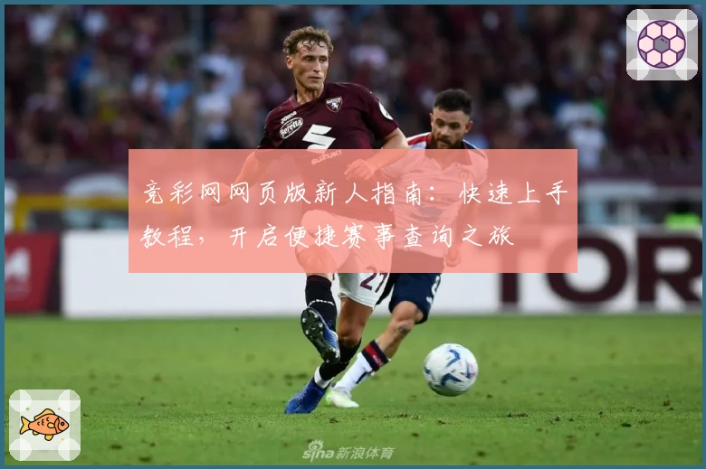 竞彩网网页版新人指南：快速上手教程，开启便捷赛事查询之旅